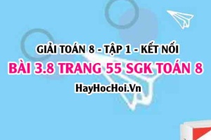 Giải bài 3.8 trang 55 Toán 8 Tập 1 SGK Kết nối tri thức